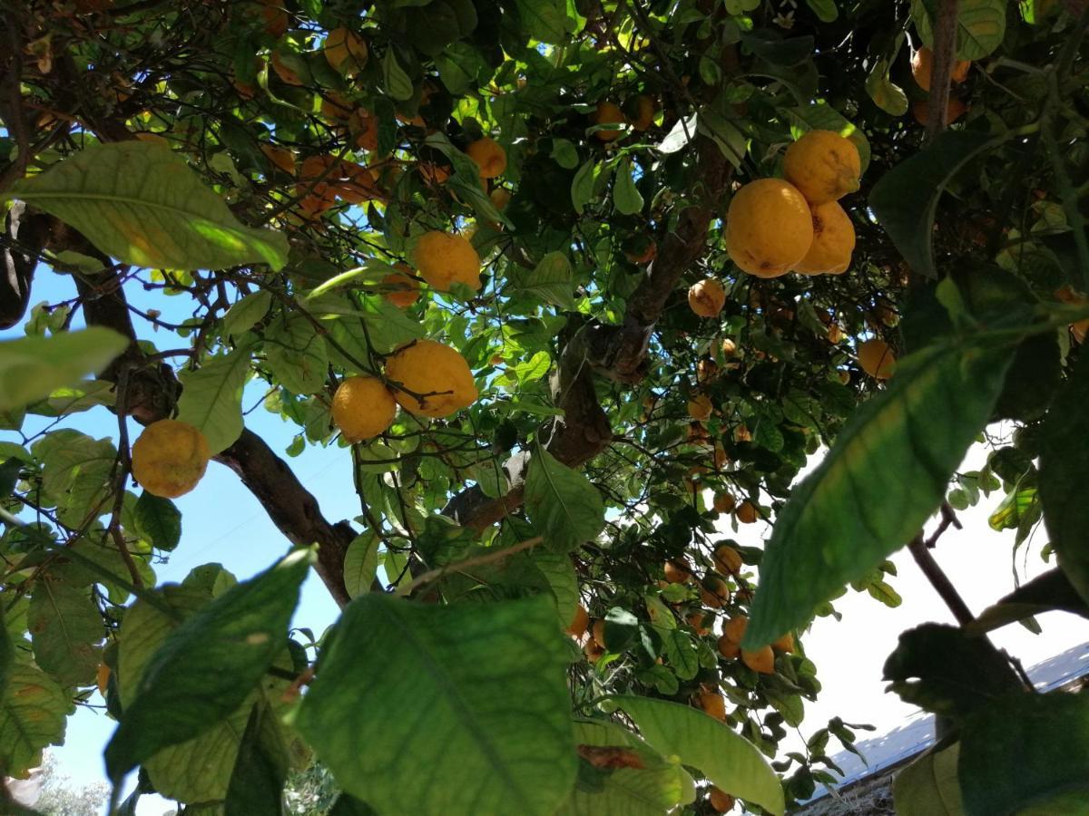 포르토 엠페도클레 Lumie Di Sicilia B&B 외부 사진