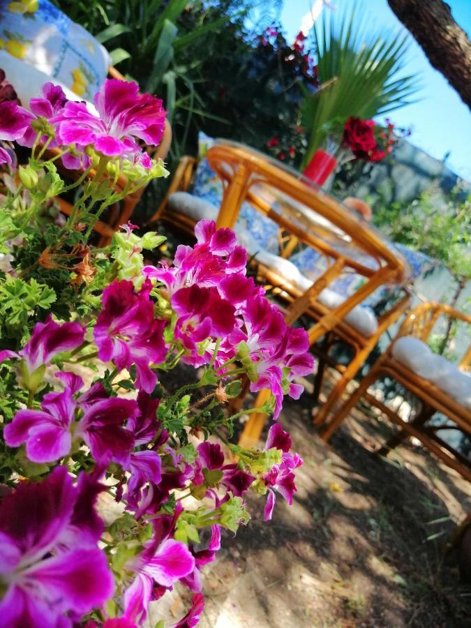 포르토 엠페도클레 Lumie Di Sicilia B&B 외부 사진